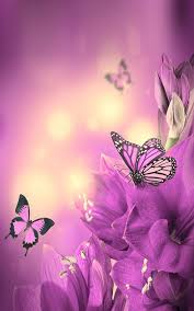 Image result for animated butterflies wallpaper