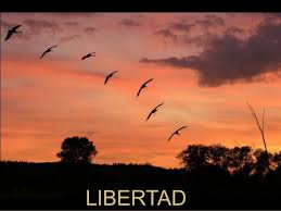 Resultado de imagen para imagenes de la libertad