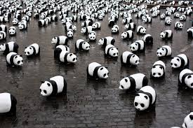 Image result for pandas