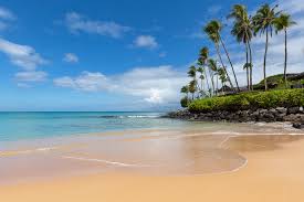 Maui Now - News update