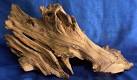 Cypress driftwood for sale