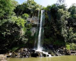 Imagem de Macuco Trail, Iguazu Falls