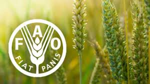 Image result for fao