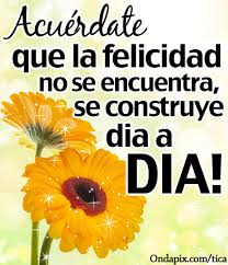 Resultado de imagen de imagenes de la felicidad