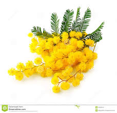 Rsultat de recherche d'images pour 