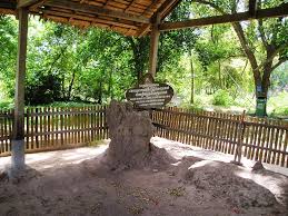 Image result for cambodia history killing fields