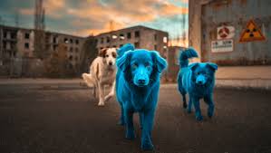 Chernobyl Dogs