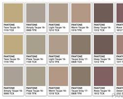 Image of Taupe color