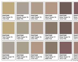 Image of Taupe color