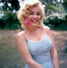 Resultado de imagem para marilyn monroe