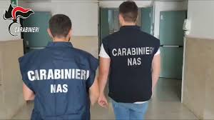 RaiNews - News update