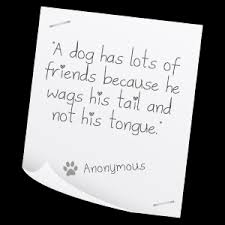 Best Pet Quotes. QuotesGram via Relatably.com