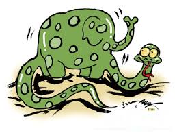 Image result for 蛇欲吞象