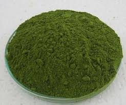 Resultado de imagen para moringa arbol