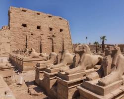 Immagine di Tempio di Karnak, viale delle sfingi
