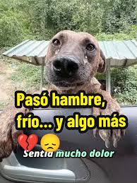 Superando el hambre y el frío en la vida diaria | TikTok