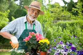 Image result for gardening