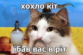 images?q=tbn:ANd9GcSzlDtj3jEz6m8oxZXsCMdRf7_QZtBTZbrMGcKhm1wcgz4D4Gmf