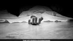 Allegedly Commits Suicide After Shooting