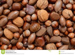 Résultat de recherche d'images pour "chataignes marrons noix"