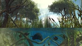 Image result for organisms and their environment