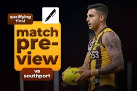 Box Hill Hawks - News update