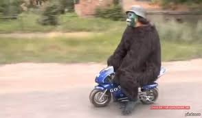 images?q=tbn:ANd9GcT-7Yy-34VARFwhqAf988TwYFhh1oXz78KORDVXu0N5HftXFh6C