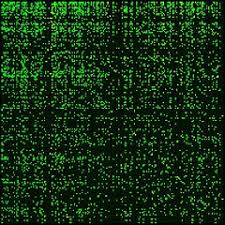 Image result for matrix