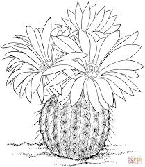 Résultat de recherche d'images pour "cactus coloring pages"