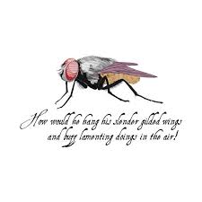 Insect Quotes. QuotesGram via Relatably.com