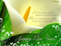 Image result for happy new year 2017 whatsapp dp
