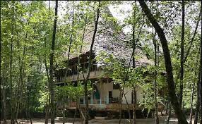 Image result for ‫گردشگر‬‎