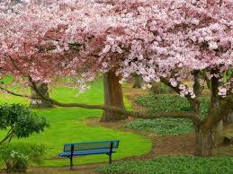 صور طبيعية