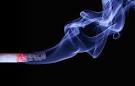 air purifier for cigar smoke reviews on garcinia
