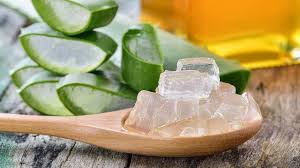 Dinossauros Mumificados Revelam Segredos Incríveis! Você Não Vai Acreditar!