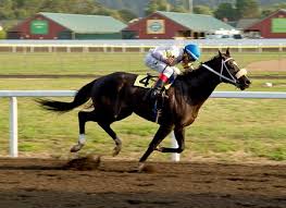 CHRB Rejects Proposed Race Dates in Northern California