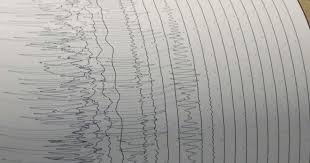 Immagine in miniatura