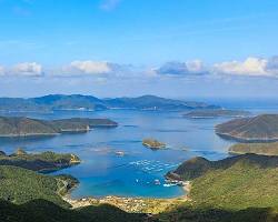奄美大島、徳之島、沖縄島北部及び西表島（鹿児島県・沖縄県）の画像