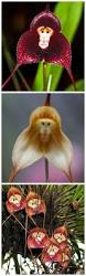 Image result for ����С���m