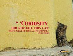 Curiosity Kills Quotes. QuotesGram via Relatably.com