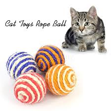 Resultado de imagem para Gato pegando bola