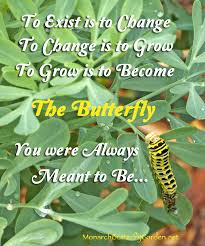 Black Swallowtail Caterpillar- Quotes about Growth via Relatably.com