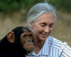 Imagen de Dr. Jane Goodall, primatologist and conservationist