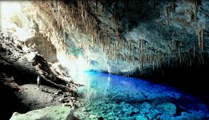 Afbeeldingsresultaat voor bonito brazil