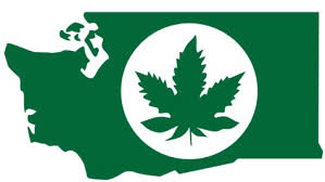 Resultado de imagen de Legalization