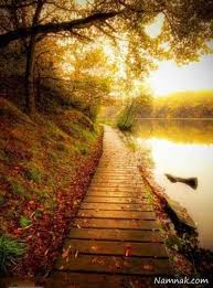 Image result for ‫ عکس های جالب از طبیعت‬‎