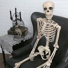 Image result for halloween photos
