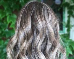 Image de Brown hair with ash blonde highlights