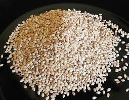Image result for SESAME SEED