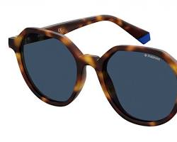 Imagen de Polaroid Havana Blue sunglasses